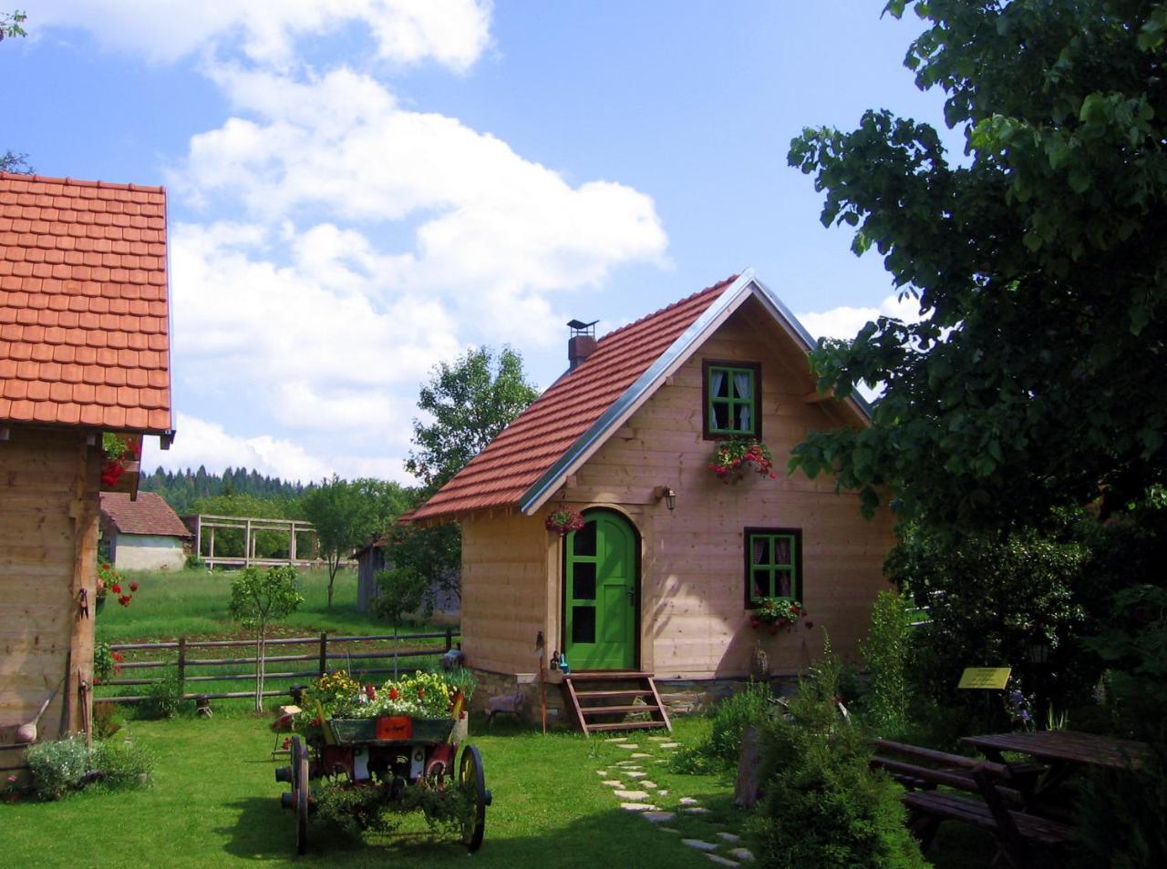 Apartments Vila Selena - Golija Rudno Exterior photo